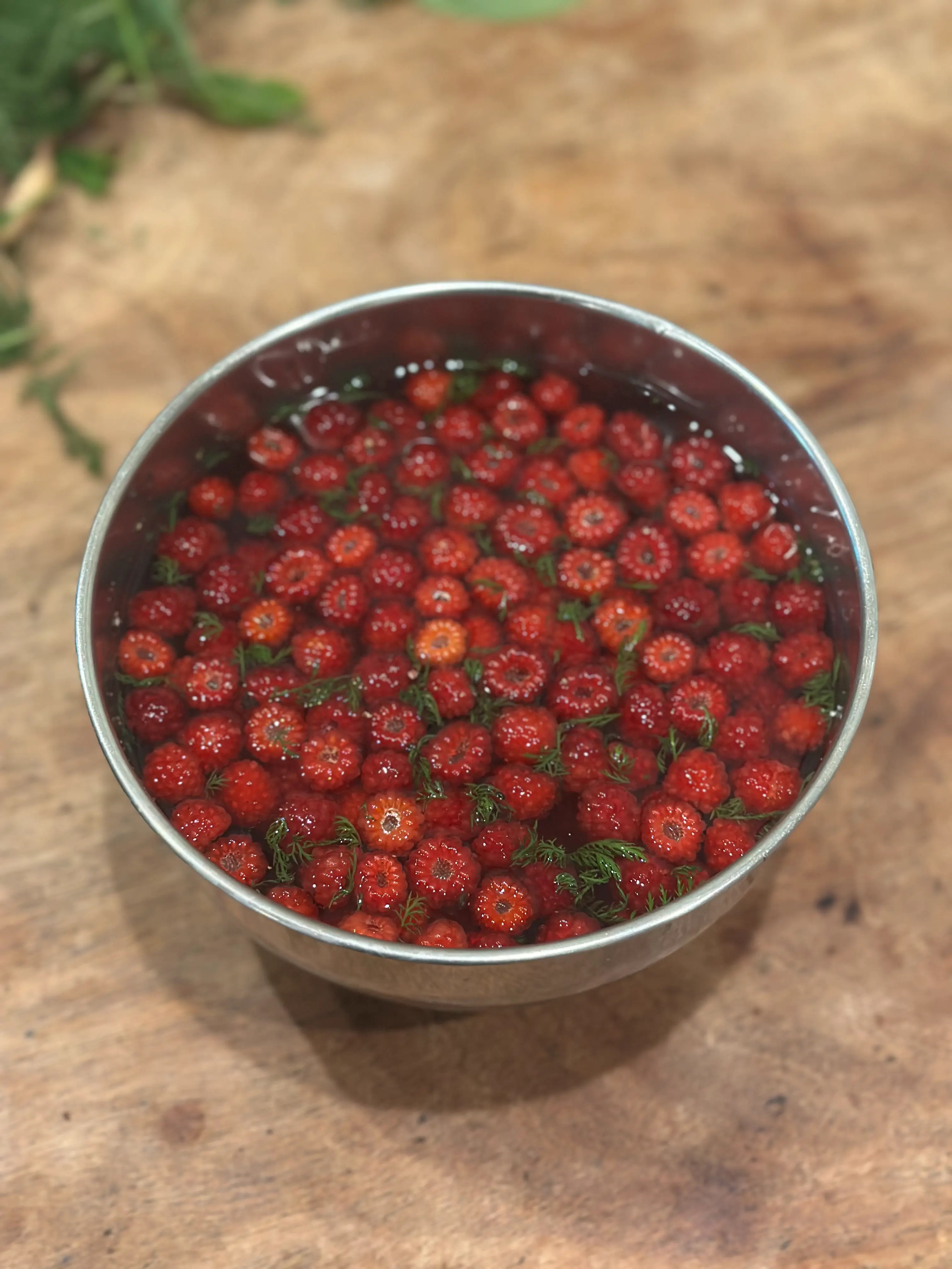 Lacto-Wineberries