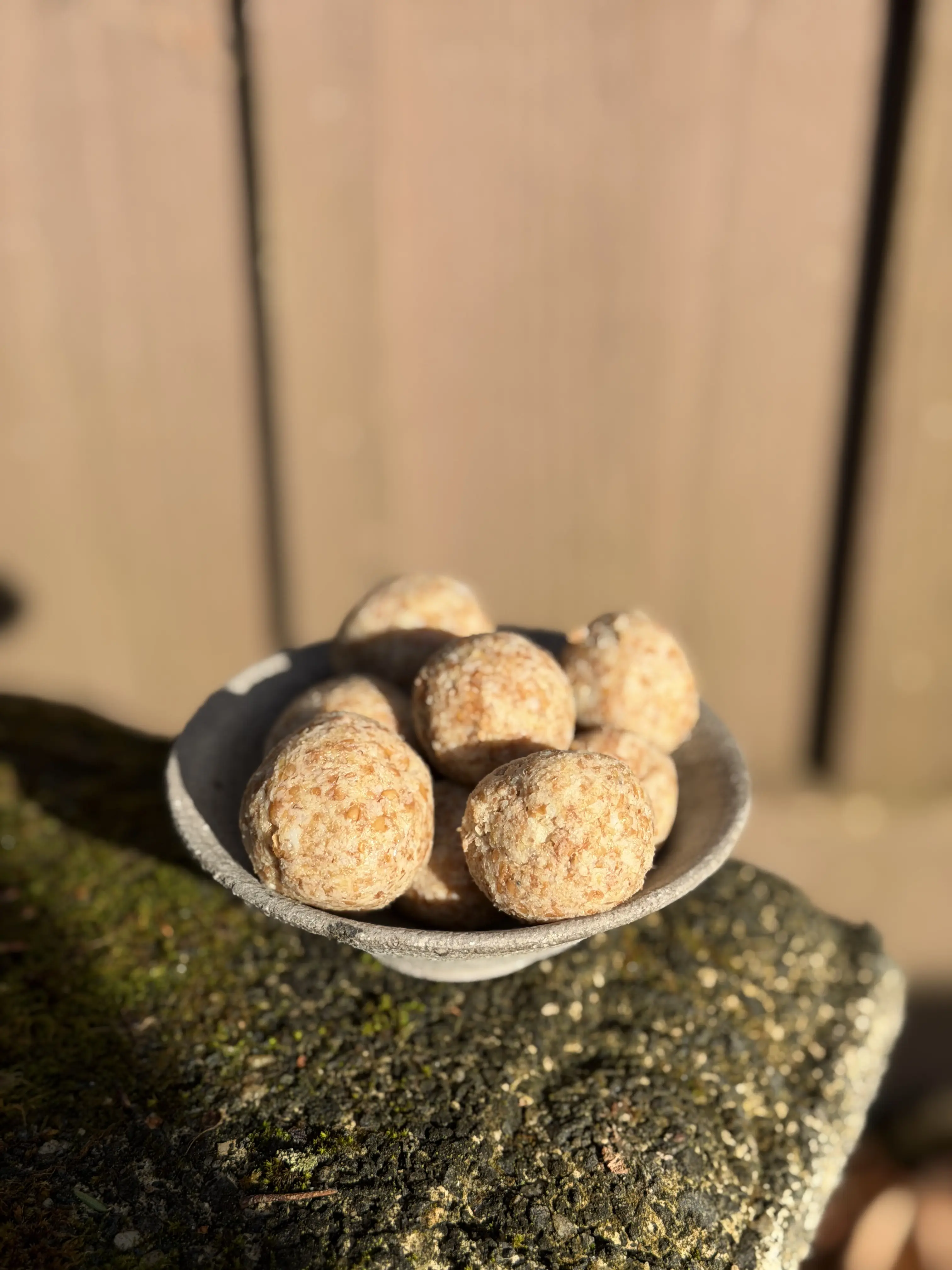 Shio Koji Grain Cheese