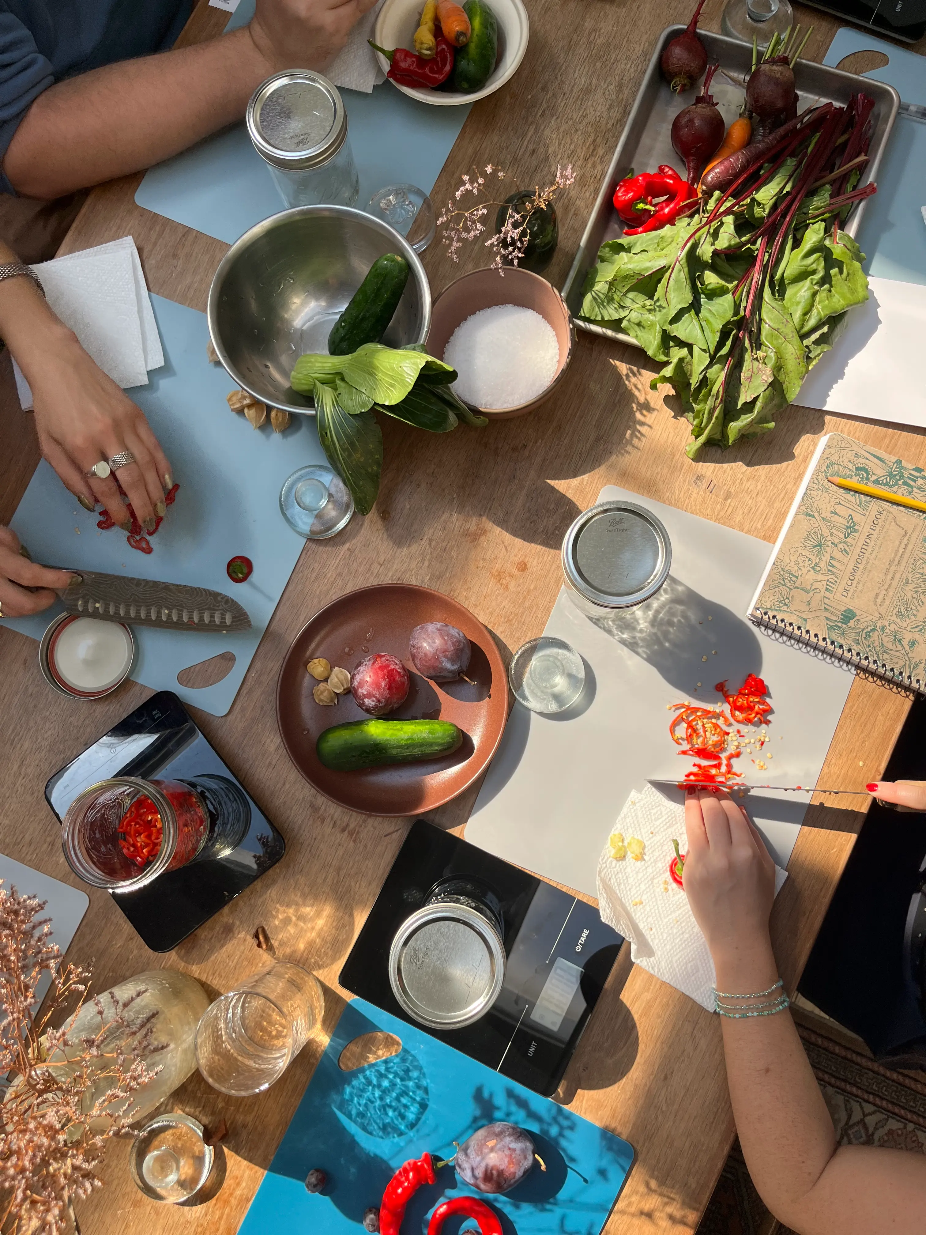 The Fermentation Workshop 2