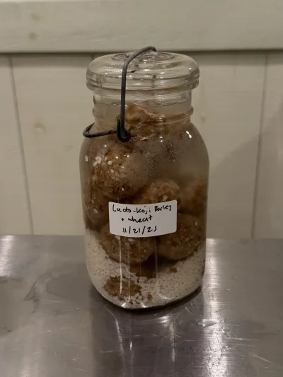Shio Koji Grain Cheese