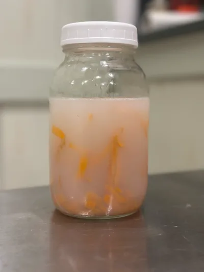 Carrot Bug