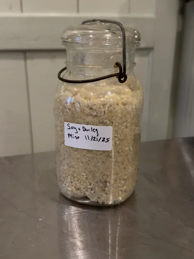 Barley Soy Miso